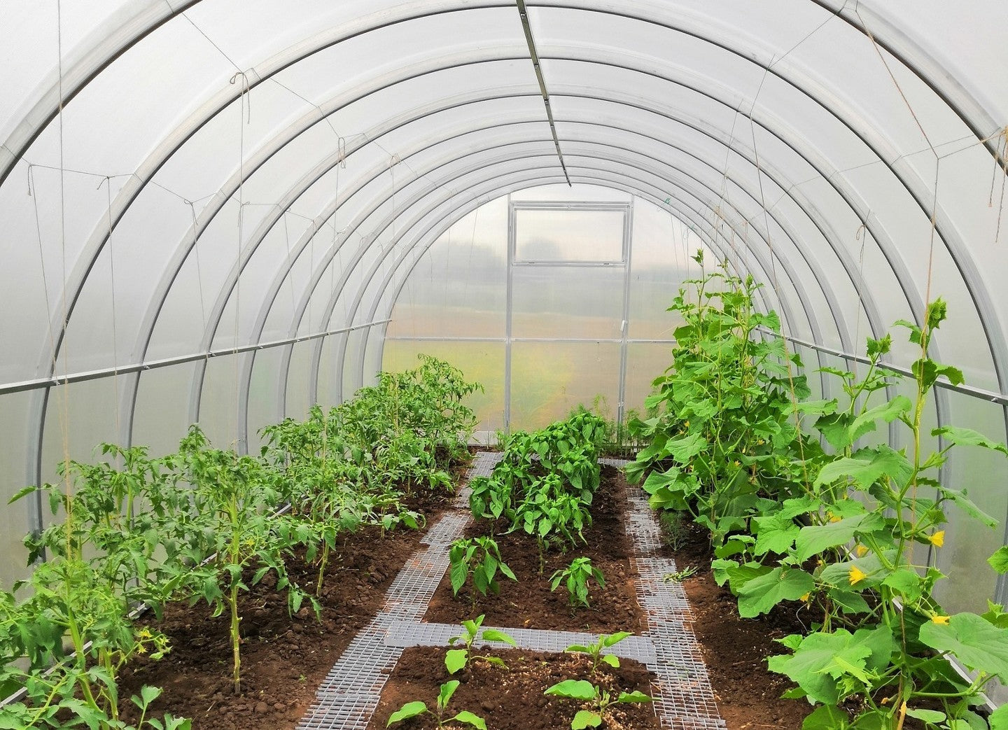 Czy ogrzewanie szklarni z poliwęglanu jest konieczne?