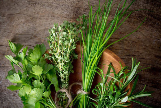 Warzywa, które można sadzić w lutym w szklarni z poliwęglanu