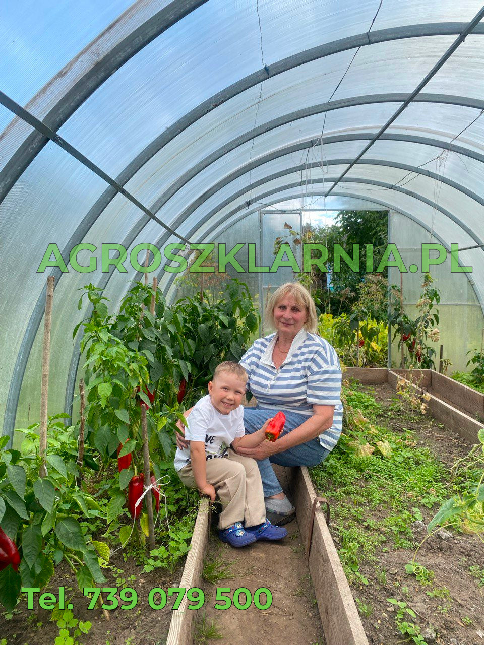 Szklarnia z poliwęglanu 3x10 m – profil 40×20