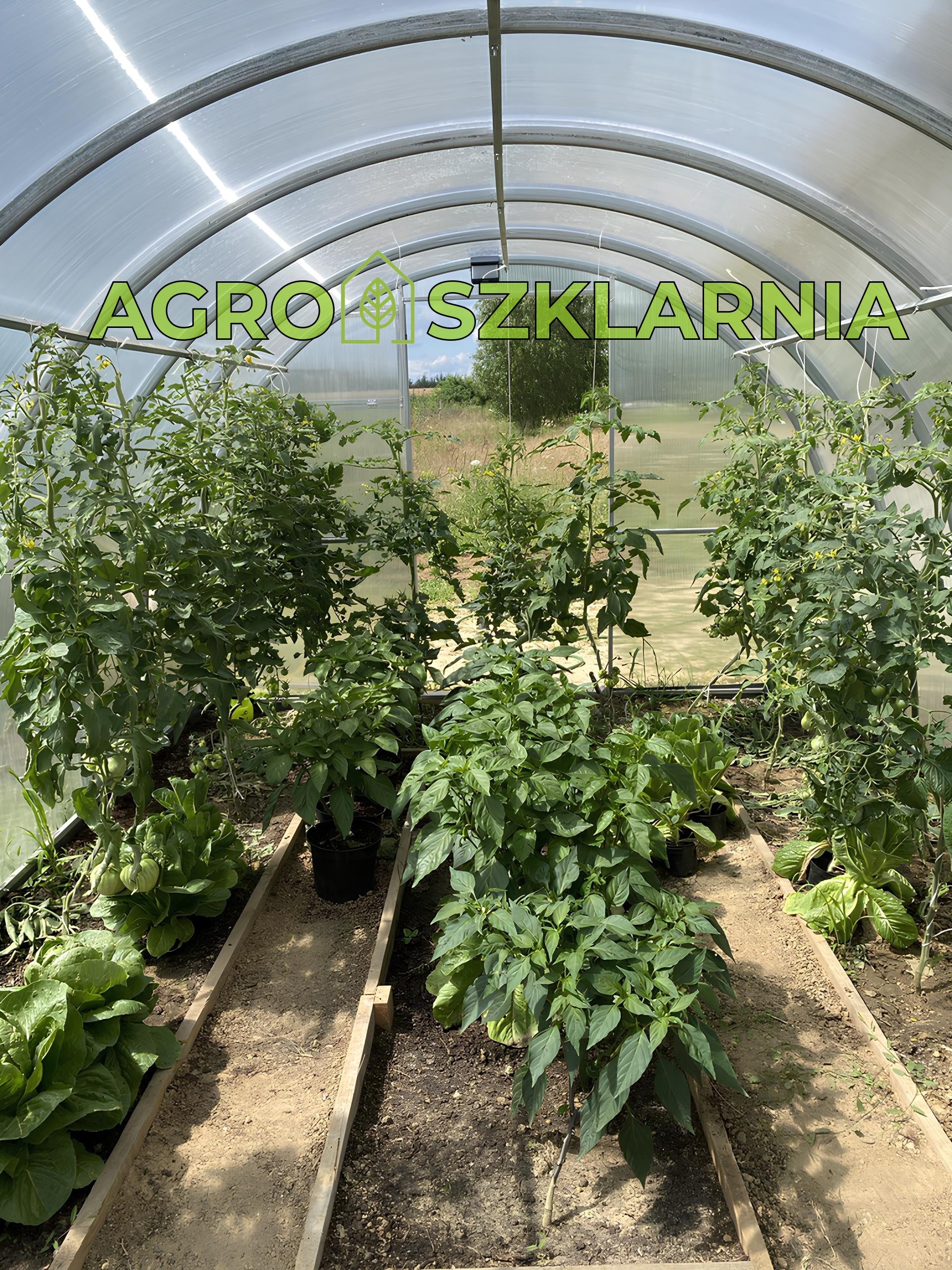 Szklarnia Premium – szerokość 3 m, długość 4–12 m – profil 40×20 Agroszklarnia