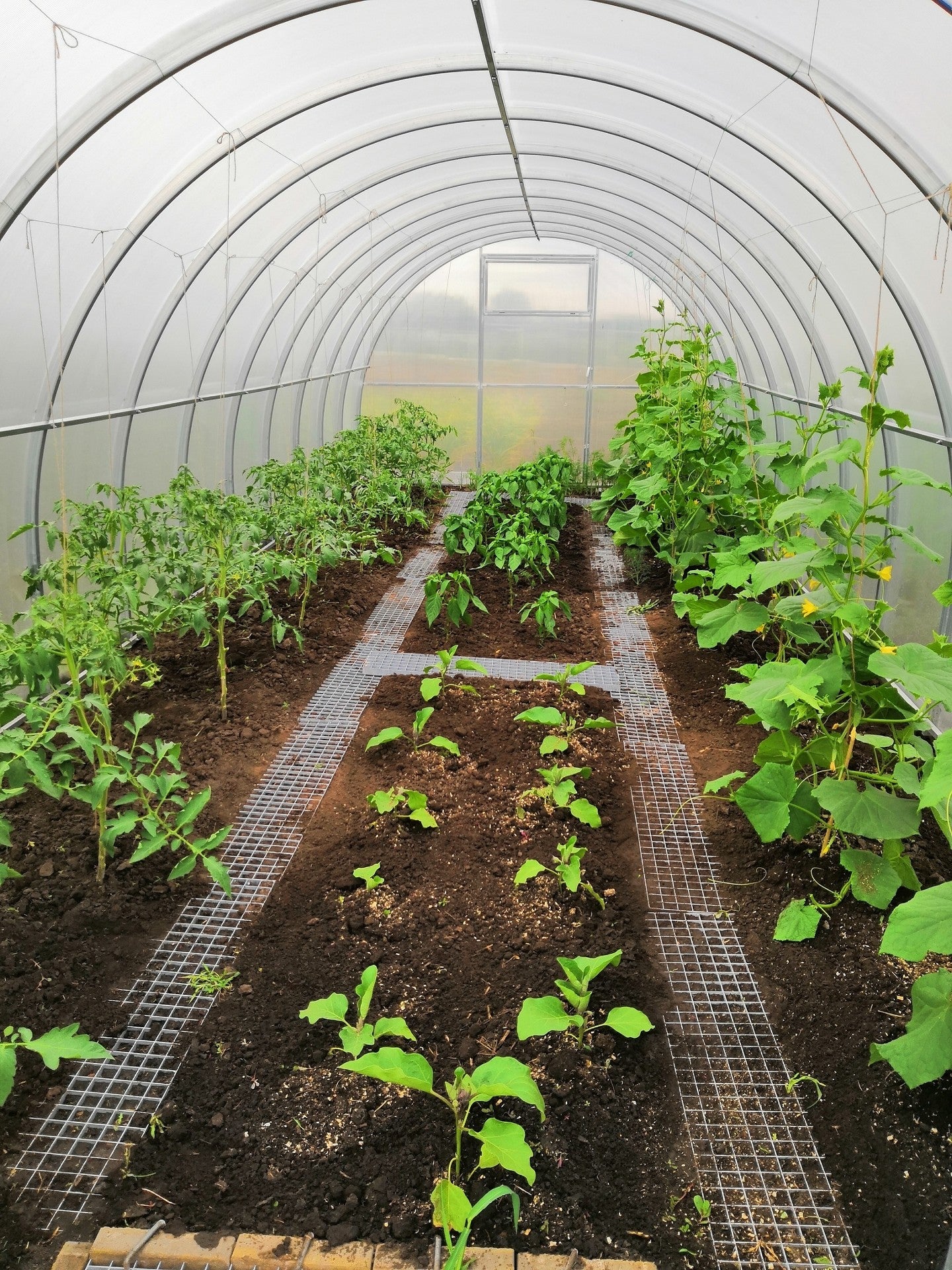 Szklarnia z poliwęglanu 3x4 m – profil 40×20