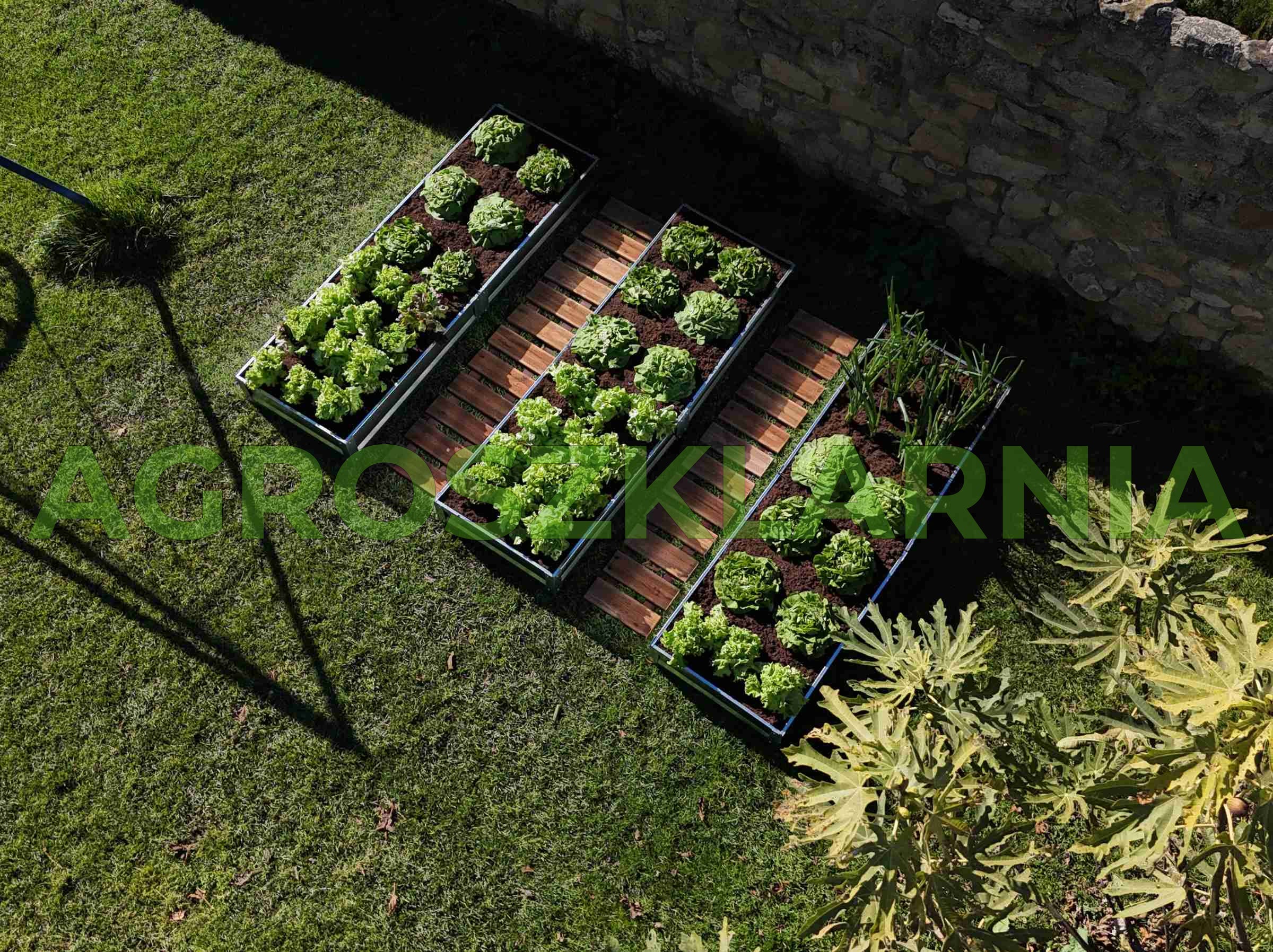 Grządki ogrodowe stalowe do szklarni i ogrodu