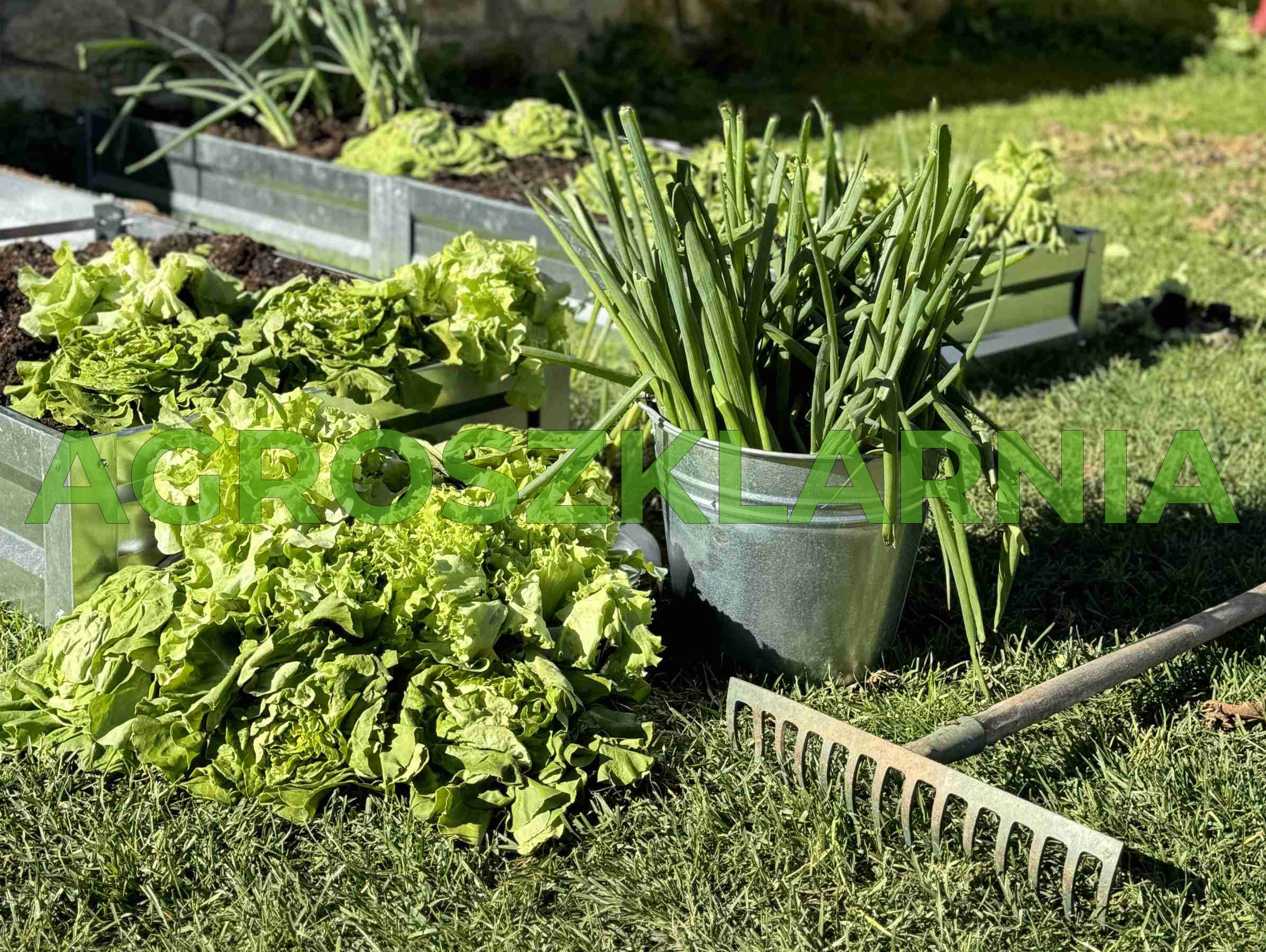 Grządki ogrodowe stalowe do szklarni i ogrodu