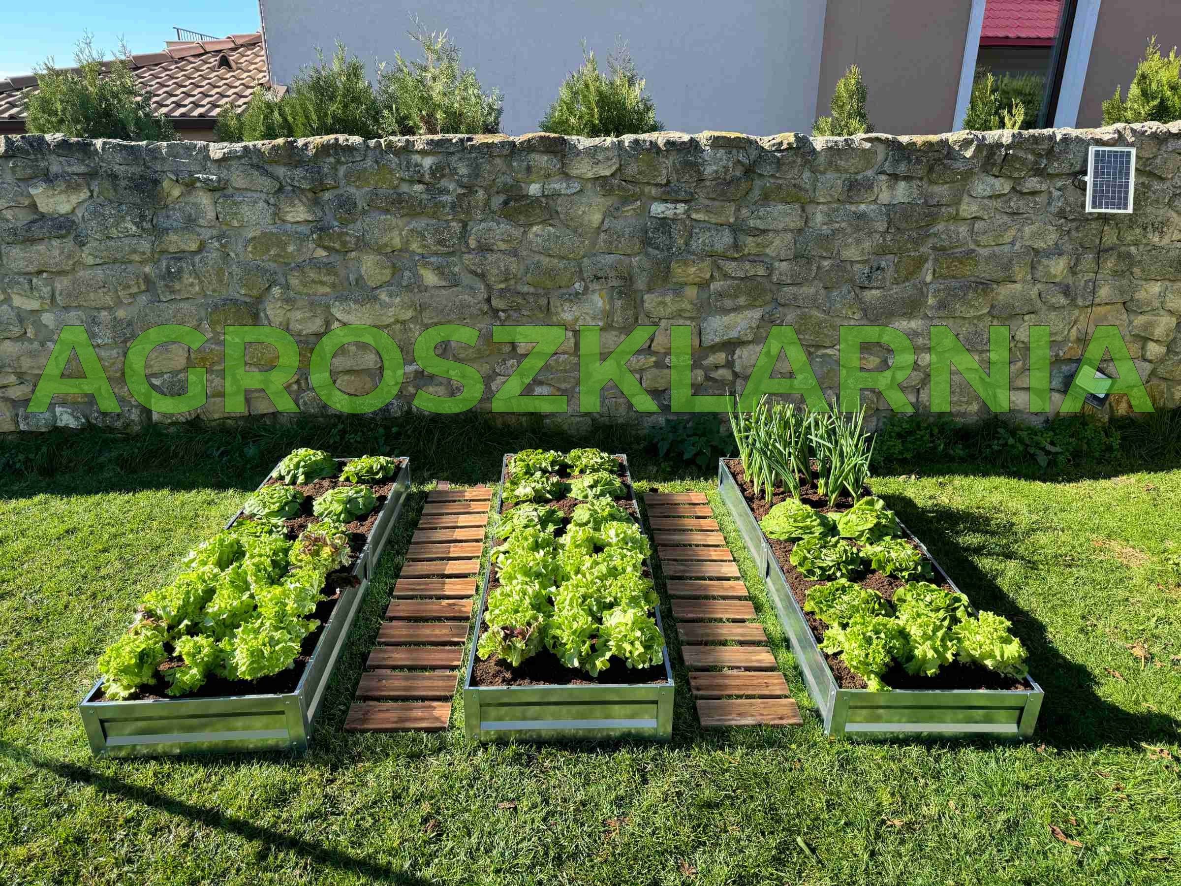 Grządki ogrodowe stalowe do szklarni i ogrodu