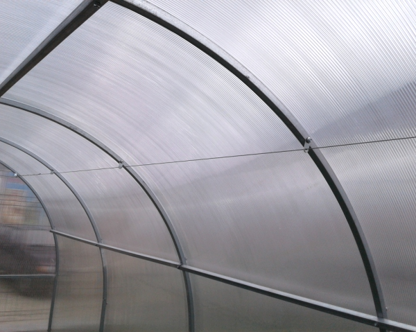 Szklarnia z poliwęglanu 2,4×6 m – profil 20×20