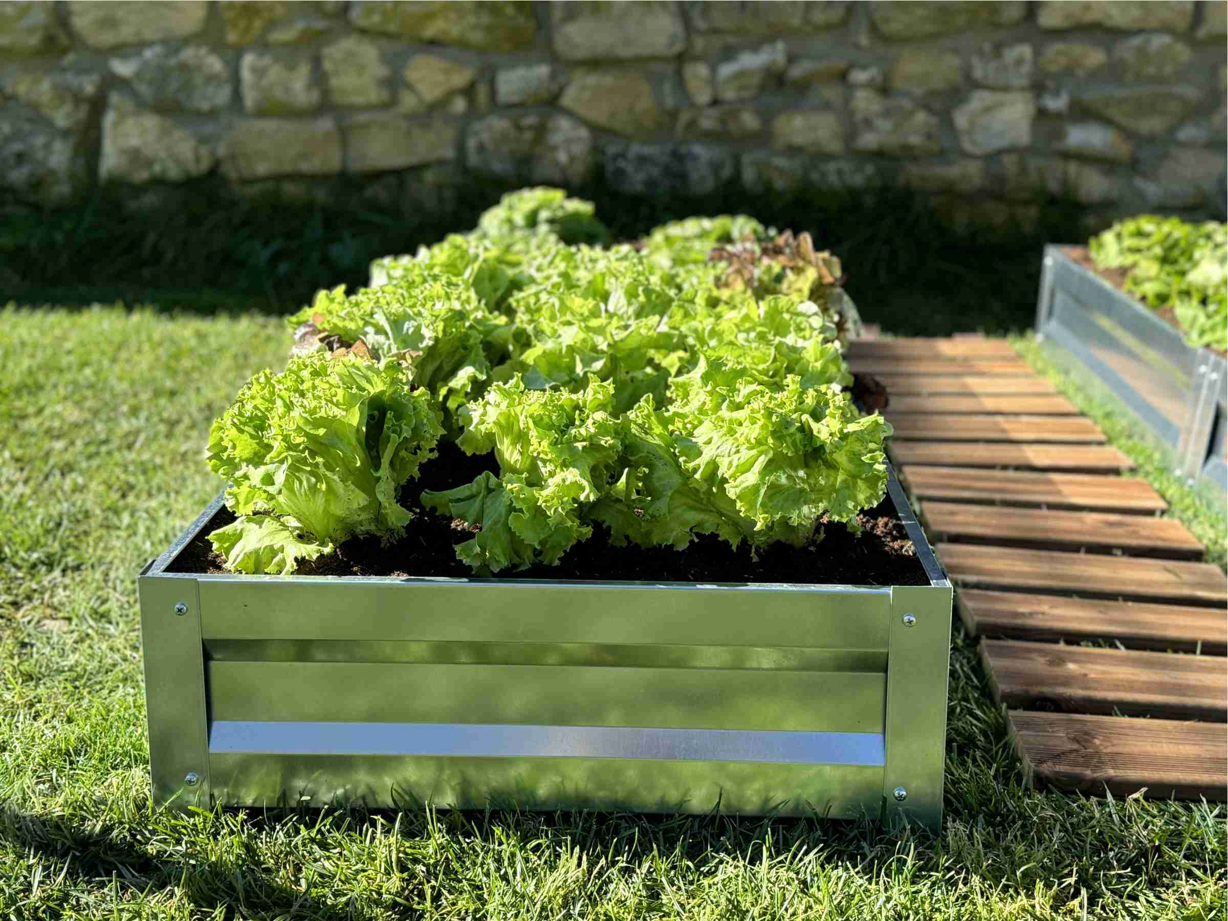 Grządki ogrodowe stalowe do szklarni i ogrodu